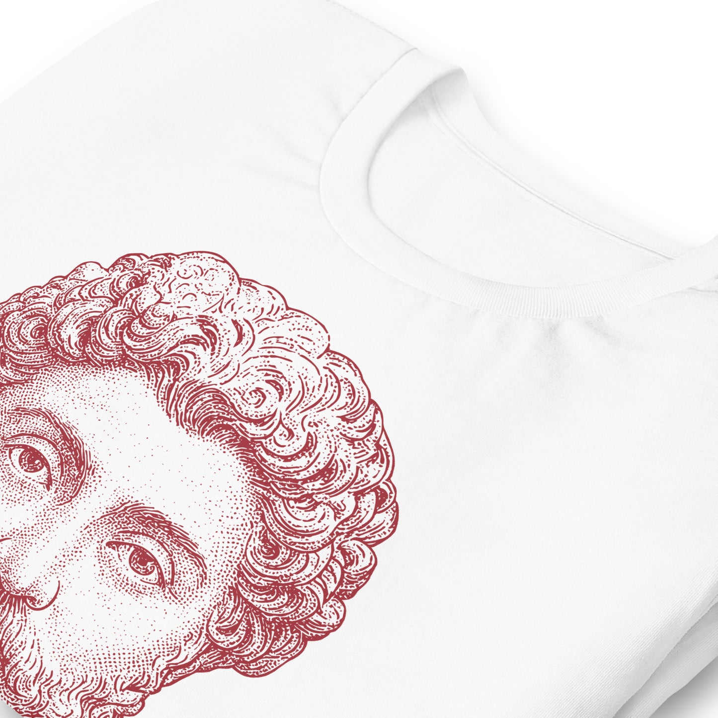 Marcus Aurelius | Tee ii
