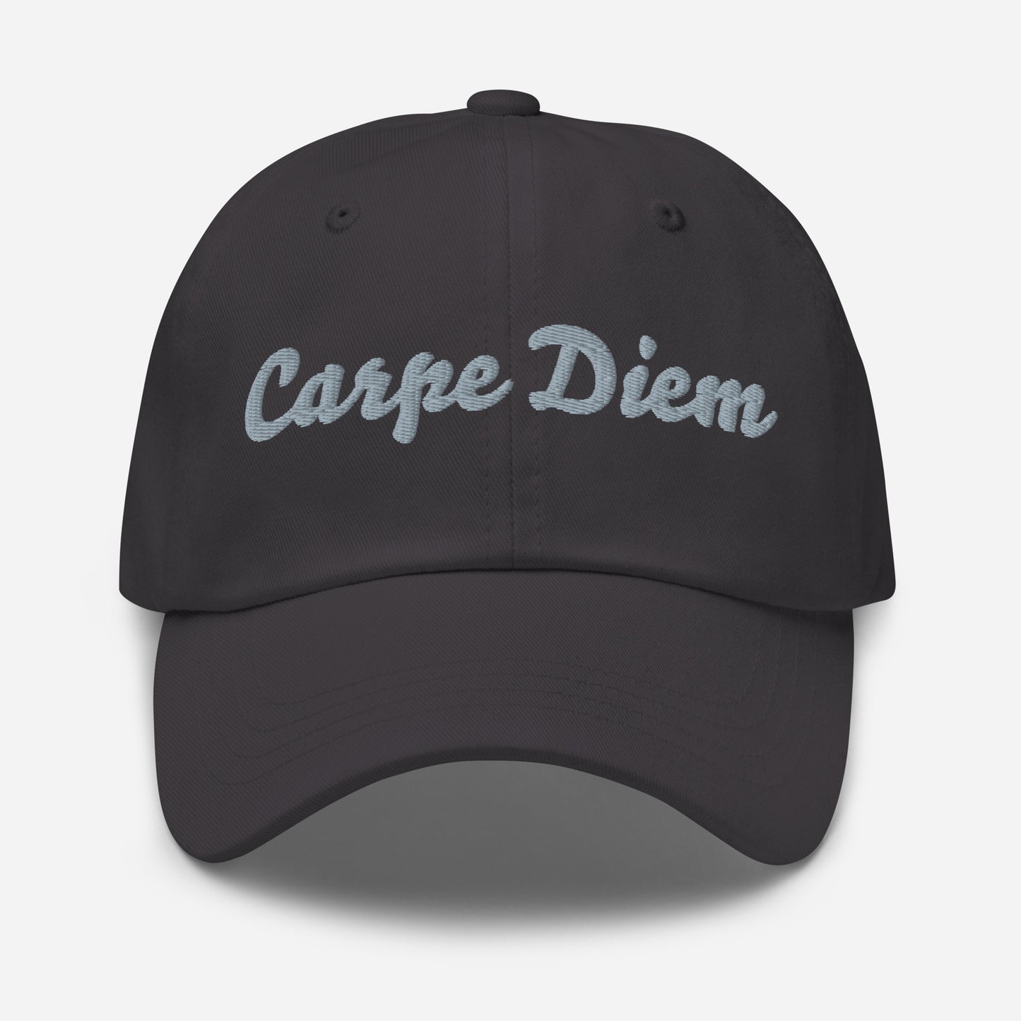 Seize the day hat | i