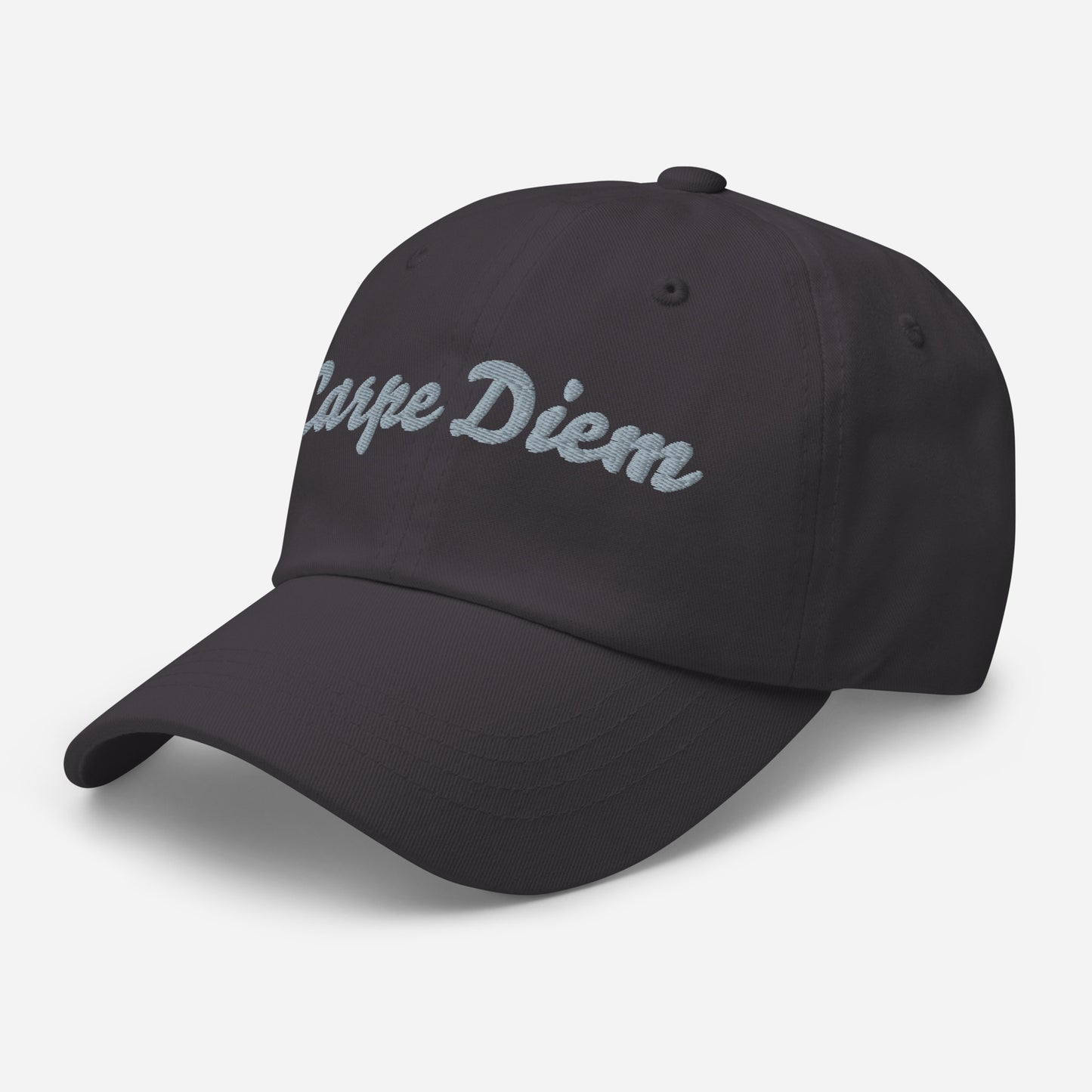 Seize the day hat | i