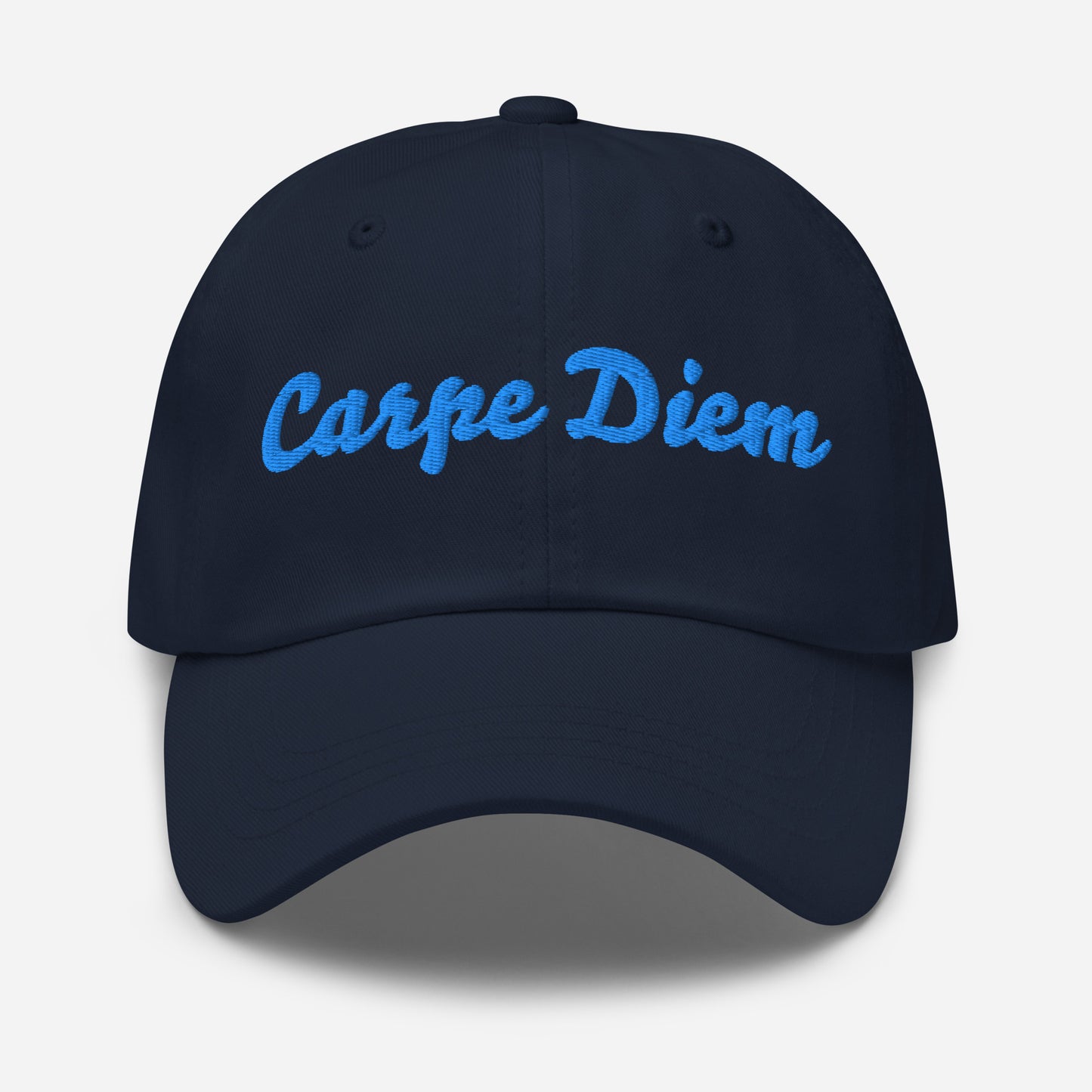 Seize the day hat | ii