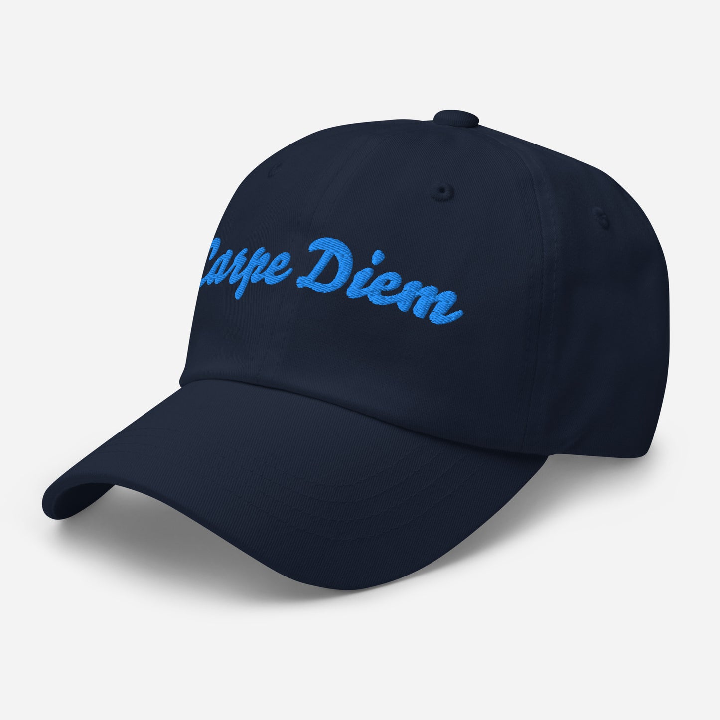 Seize the day hat | ii