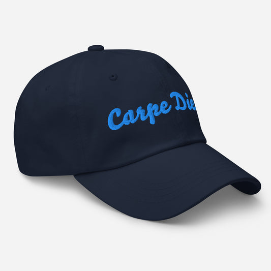 Seize the day hat | ii