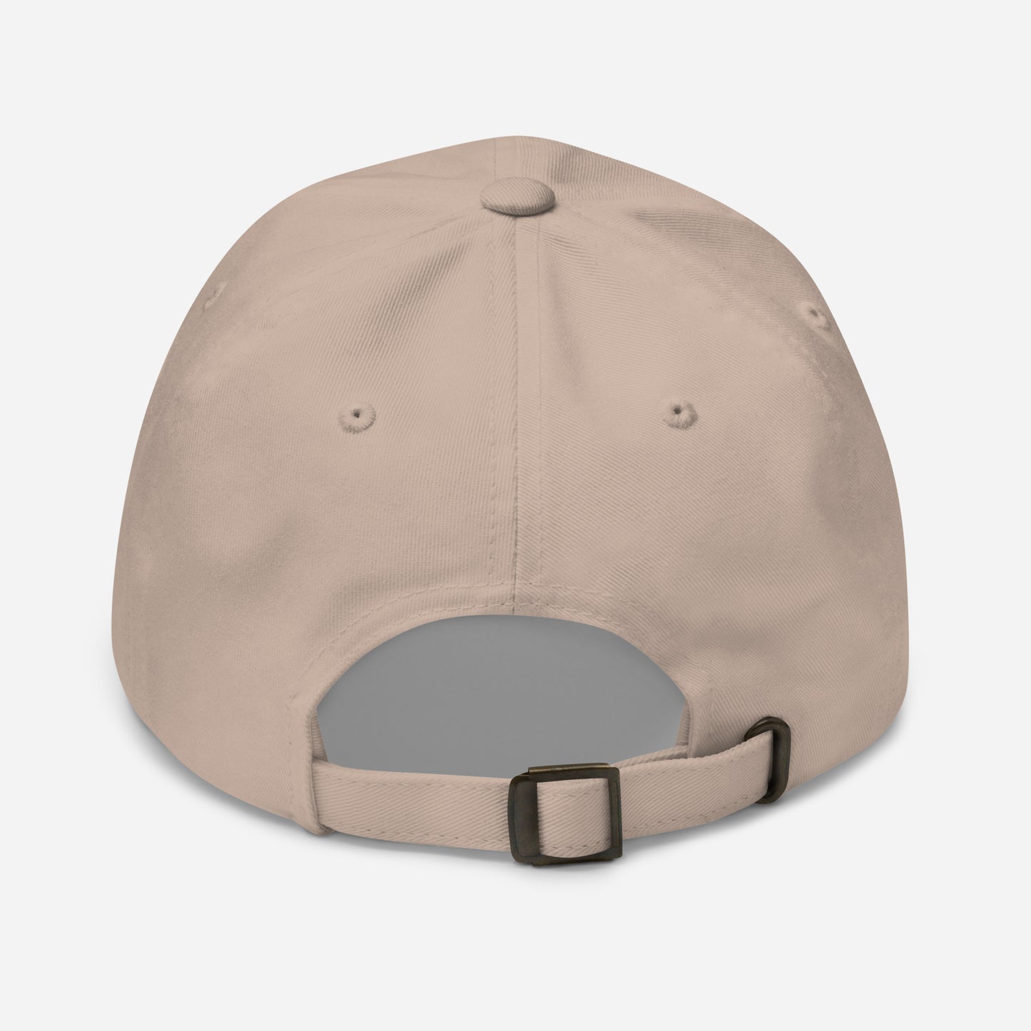 Seize the day hat | iii