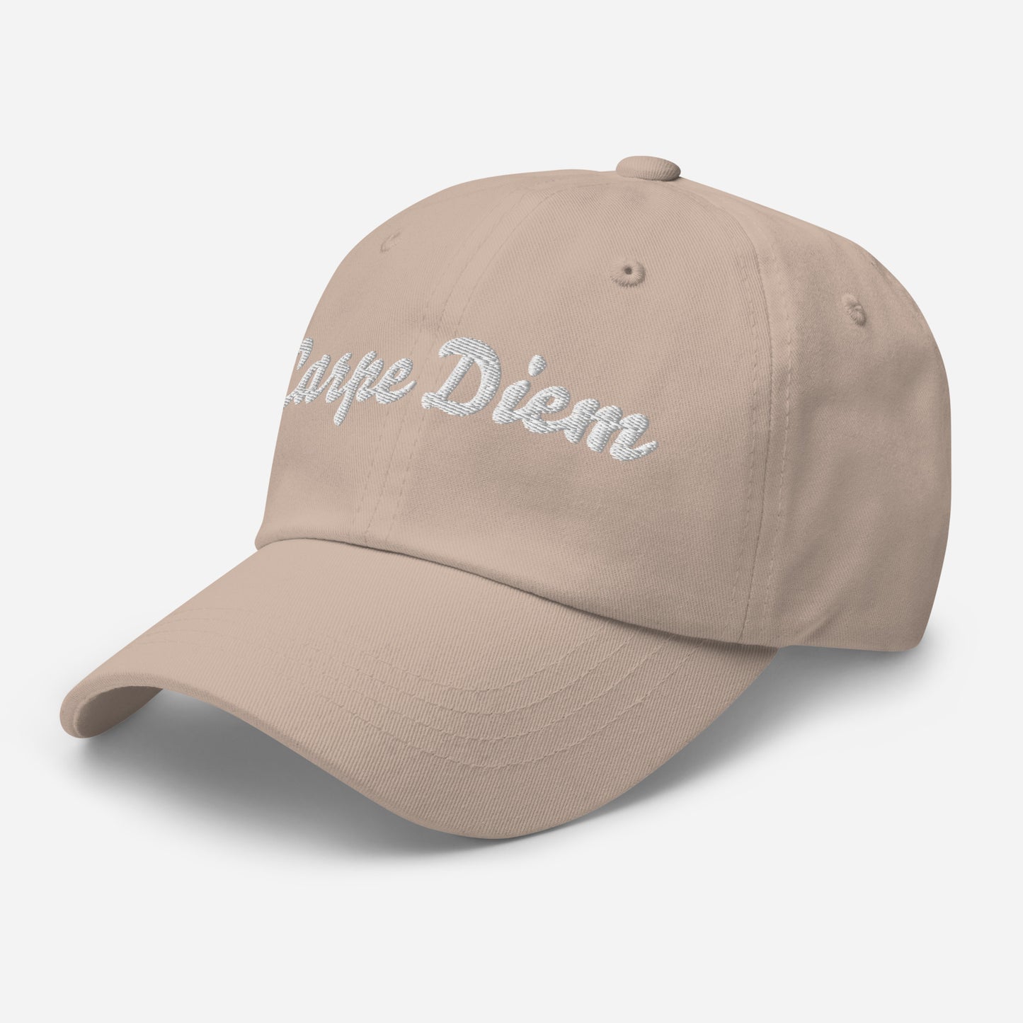 Seize the day hat | iii
