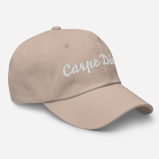 Seize the day hat | iii
