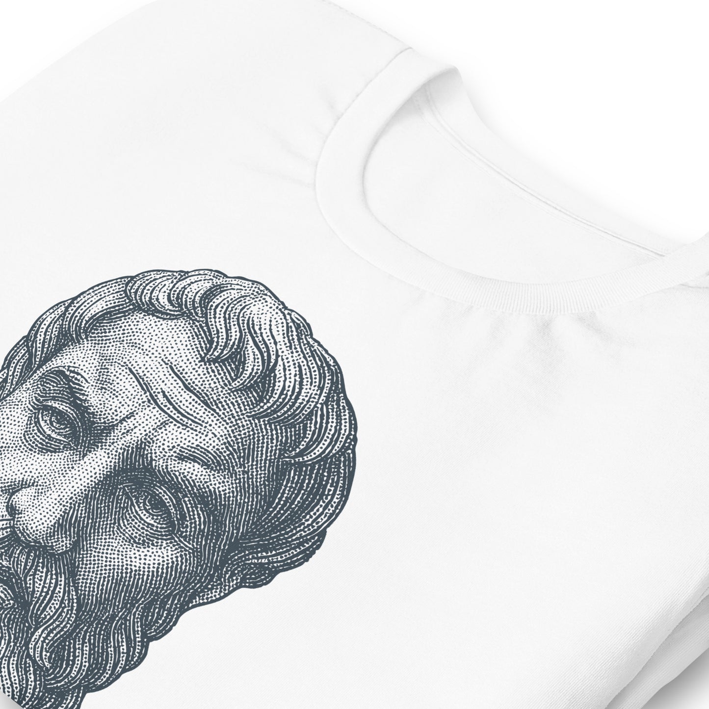 Epicurus | Ἐπίκουρος | Tee i