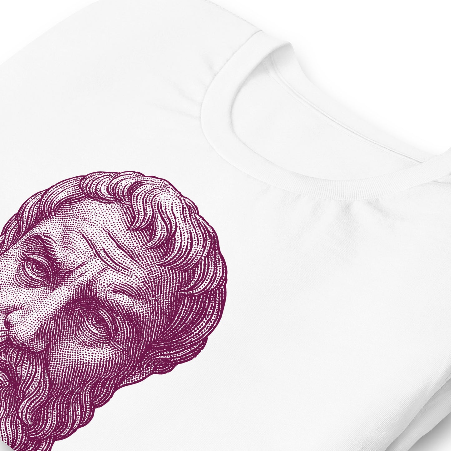 Epicurus | Ἐπίκουρος | Tee ii