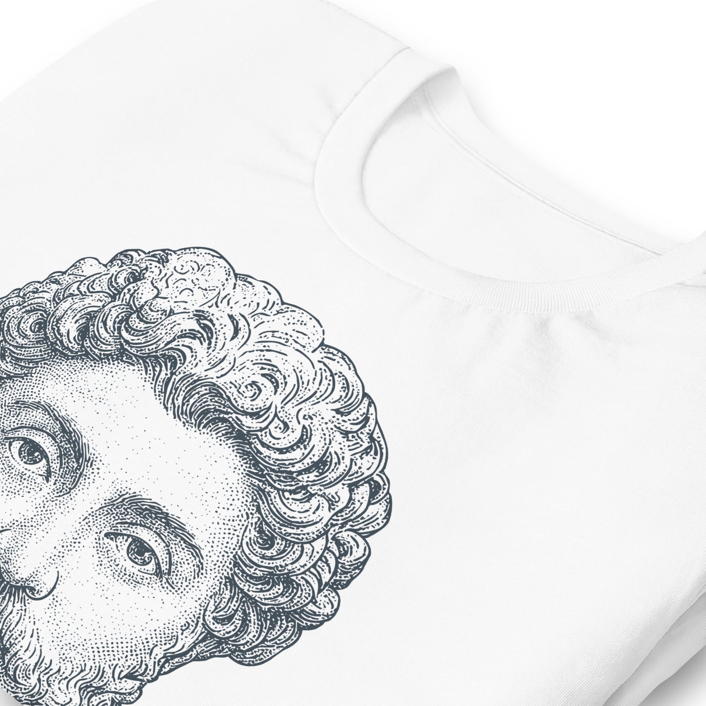 Marcus Aurelius | Tee i